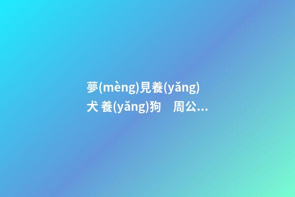 夢(mèng)見養(yǎng)犬 養(yǎng)狗　周公解夢(mèng)之夢(mèng)到養(yǎng)犬 養(yǎng)狗